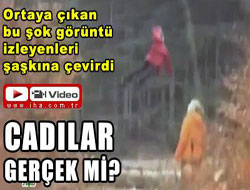 Cadılar görüntülendi şok görüntüler