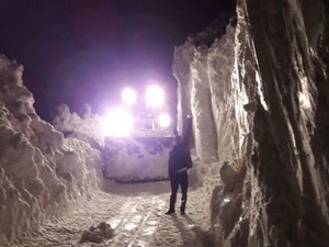 İl özel idaresi çığlarla mücadele ediyor!