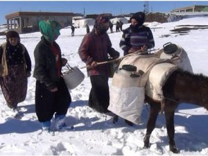 Kuyulardan eşek sırtında su taşıyor!