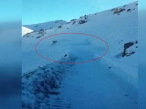 İş makinesi çığ altında kaldı!