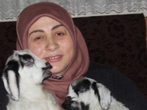 Kuzularına çocuklar gibi bakıyor!