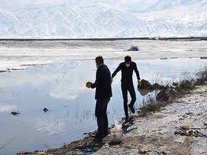 Larvalara karşı ilaçlama çalışması başlatıldı!
