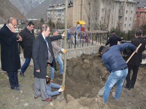 Ağaçlandırma çalışmalarına başlandı!