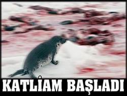 Katliam başladı...