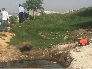 Köpek tartışmasında kan aktı: 2 ölü, 5 yaralı!