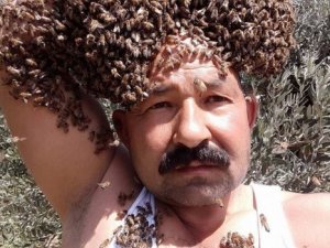 Arıları baş tacı yaptı!