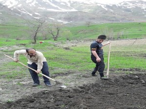 Hakkarili çiftçileri ekim telaşı sardı!