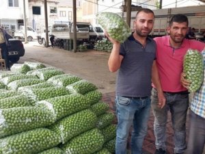 Fiyatı 400 lira olan erik şimdi 7 TL!