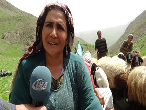 Berivanlar yılın ilk süt sağımına başladı!