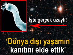 Dünya dışı yaşamın kanıtını elde ettik
