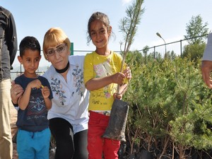 Yüksekova belediyesi 13 bin fidan dağıtacak!