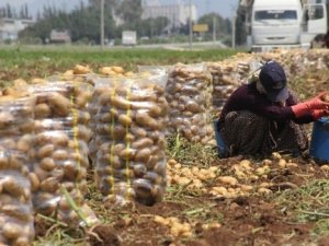Ramazan'da kadınların ekmek mücadelesi
