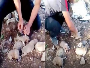 Kan donduran vahşet