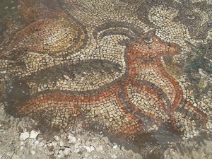 1600 yıllık tarihi mozaik bulundu!