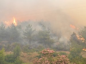 Yangın söndürme helikopteri düştü!