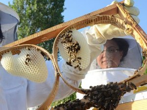 Hobi olarak başladılar para kazanmaya başladılar