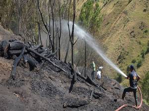Van'da ormanlık alanda yangın
