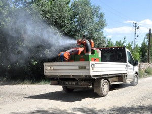 Yüksekova'da haşerelere karşı mücadele sürüyor!