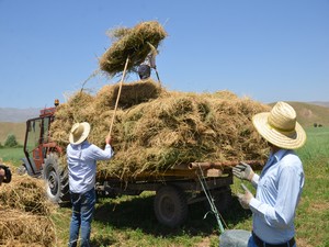 Kavurucu yaz sıcakları altında kış hazırlıklarına başladı!