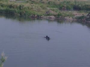 Van'da 3 yaşındaki çocuk suda boğuldu