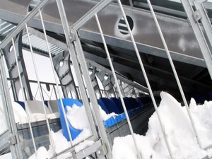 Tribün çöktü: 37 yaralı