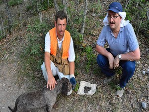 Kralların yiyeceği siyah elması ‘Arthur’ buldu