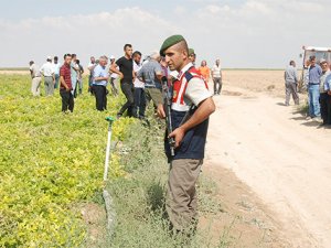Tarla kavgası: 2 ölü!