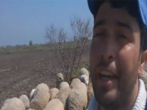 Çoban söylediği şarkılarla fenomen oldu!