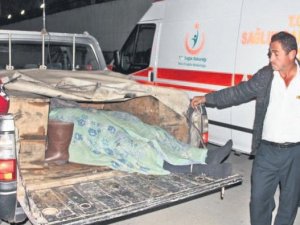 Emekli aşçıyı ayı öldürdü!