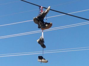 Telefon telleri dükkan vitrinine döndü!