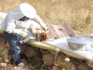 Karakovan balı satışına başlandı!