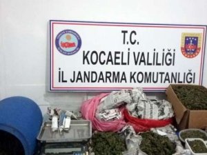 Evde esrar üreten karı koca jandarmaya yakalandı