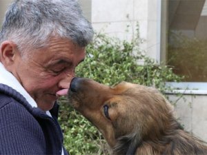 Köpekten insanlık dersi