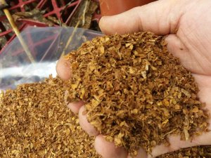 Sarma sigara satana da bulundurana da hapis cezası