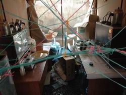 52 kişi gözaltına alındı