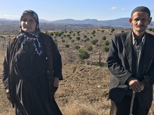 Düğün erteleten dolandırıcılık
