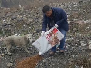 Hakkari’de sokak hayvanlara yem bırakıldı