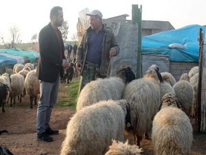 Cumhurbaşkanı Erdoğan'ın müjdesi çitçileri sevindirdi
