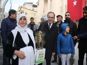 Hakkari'de 12 bin fidan dağıtıldı!