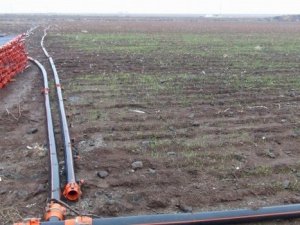 Diyarbakır ve çevresinde kuraklık tehlikesi