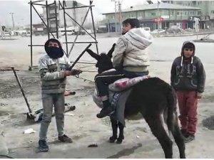 Eşeğe binemeyen çocukların komik anları