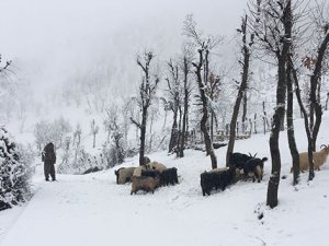 Beytüşşebap ve Uludere kar altında kaldı