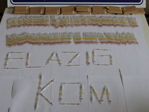 Tam 280 tane tüp kobra zehiri ele geçirildi!