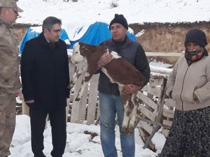 Çalınan 5 hayvan 7 tane olarak geri döndü