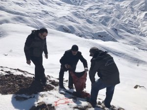 Yaban hayvanlar için Doğaya yem bırakıldı
