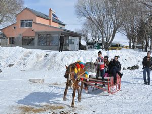 Donan Göl ilgi odağı oldu