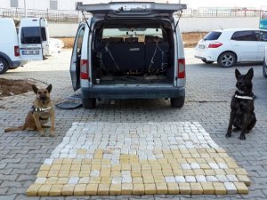 155 kilo 734 gram eroin ele geçirdi
