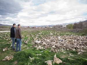 Jandarma devriye dönüşü fark etti!