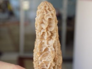 Bulan köşeyi dönecek! Herkes onu arıyor...