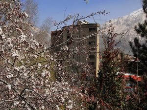 Hakkari Valilik Parkı bahar onarımı